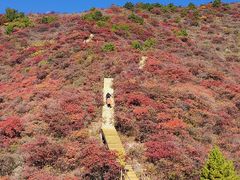 -水峪民俗村