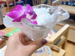 椰子肉-椰夫人·养生椰子鸡(金沙洲永旺店)