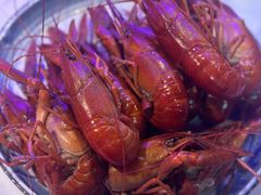明火依云白灼活虾-钳小柒·小龙虾蓝龙王烧烤夜宵(长寿路店)