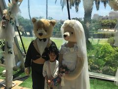 -济州岛泰迪熊博物馆