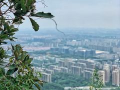 -杭州半山国家森林公园