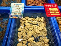 -驻海渔市(置信店)