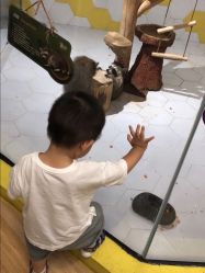 -七巧国萌宠乐园(龙湖天街店)