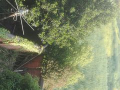 -建华生态湿地百荷园