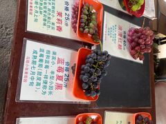 -马陆小张葡萄园农家乐