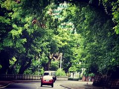 -海湾壹品·粤菜·早茶·烤鸭(拱北店)