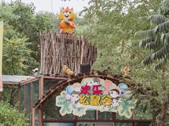-欢乐松鼠谷