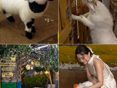 -正佳雨林生态植物园