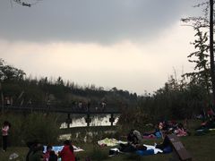 -白鹭湾湿地公园