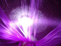 -水晶之星洗浴温泉汗蒸