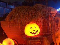-国色天乡三期陆地乐园
