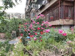 -必胜客(金元宝店)