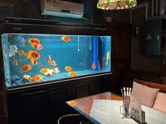 -C31地窖餐厅(黑龙江北路店)