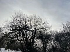 -太子岭滑雪场