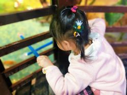 -酷嗒动物文化乐园(cutezoo西溪乐天城店)