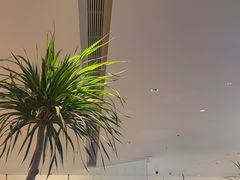 -桂满陇·蟹黄小笼汤包(巴黎春天浦建店)