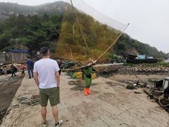 -北岐滩涂