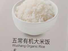 无常有机大米饭-西贝(宝乐汇店)