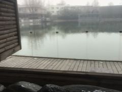 -春晖园度假酒店温泉