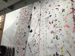 -尽峰攀岩 Acme Climbing