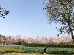 -郑州植物园