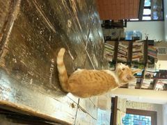 android_upload_pic-看书吧(体育东横路店)