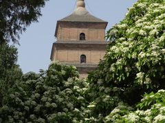-大慈恩寺(大雁塔)