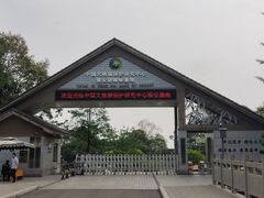 -中国大熊猫保护研究中心雅安碧峰峡基地