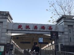 -武汉关码头(轮渡站)