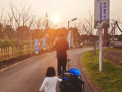 -菊园百果园
