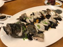 -广州富力君悦大酒店空中花园