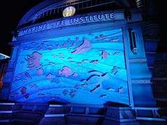 -海底巡游艇:尼莫和好友的海洋世界