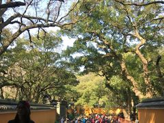 -普陀山风景名胜区-法雨禅寺
