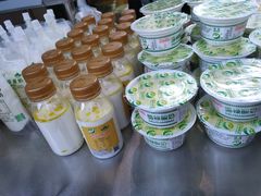 -德禄酸奶(莫家街店)