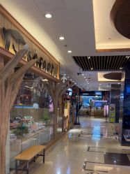 -卡通尼·Safari非洲探索乐园·生日会(金桥国际商业广场店)