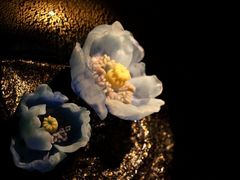 android_upload_pic-上海琉璃艺术博物馆