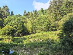 -鼓岭旅游度假区