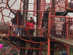 -枫香湖儿童公园