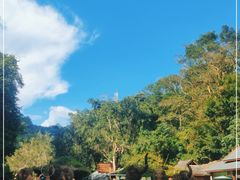 -野象谷景区
