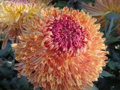 -螃蟹岬(地铁站)