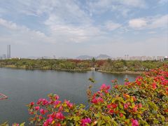 -厦门园林博览苑