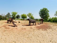 -北京西山国家森林公园