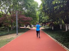 -杭州城北体育公园