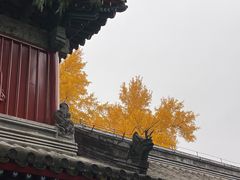 -承恩寺