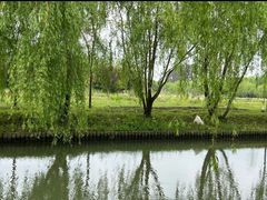 -广富林郊野公园