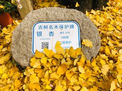 -汇龙潭