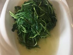 -丁老爷子苏香圆