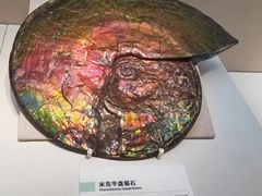 -国家自然博物馆