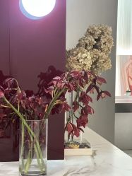 -JIE FLYING·烫发·染发