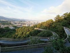 -福道